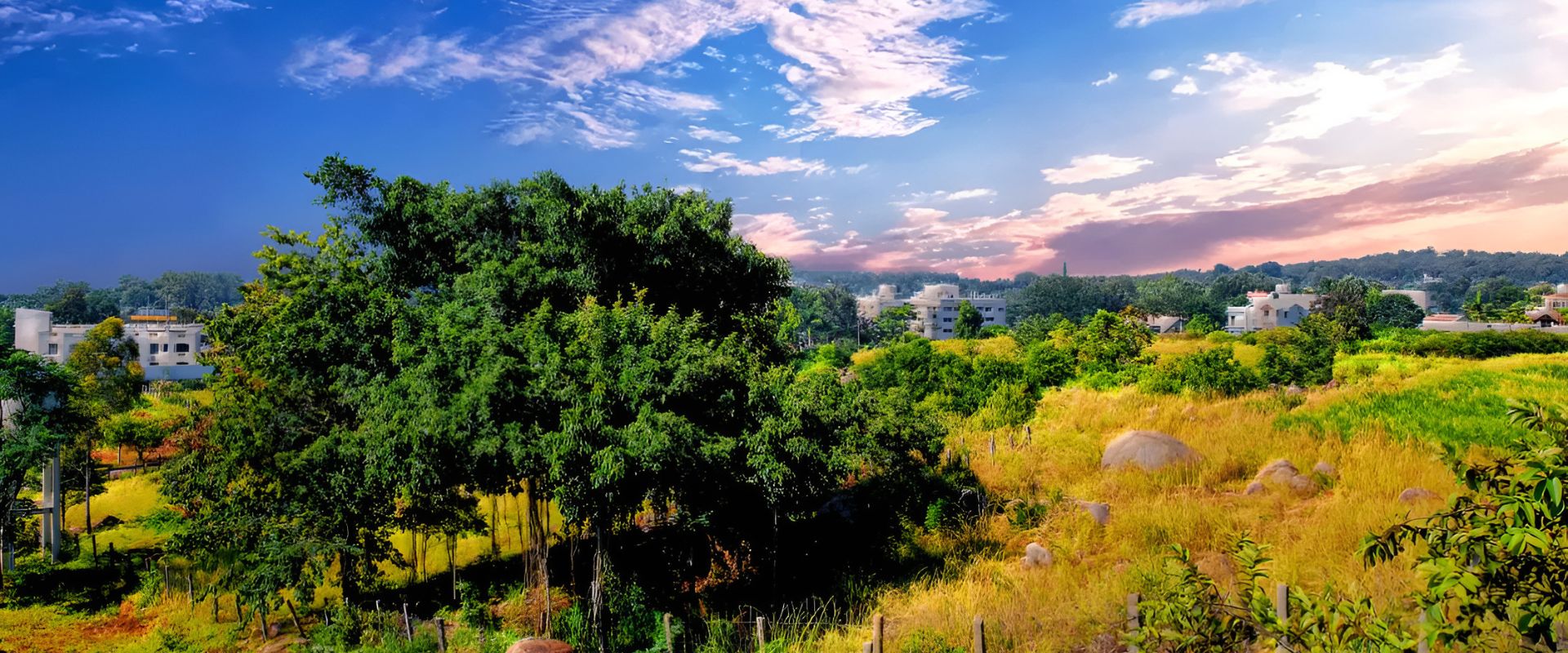 PK Resorts Hero Image 2